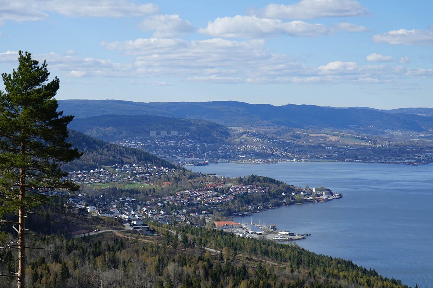 Det nye renseanlegget skal bygges under Nordbykollen i Drammen og skal bidra til å bedre